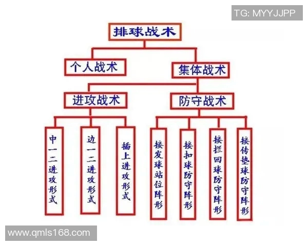 深圳排球队的战术解析与控制策略深度剖析